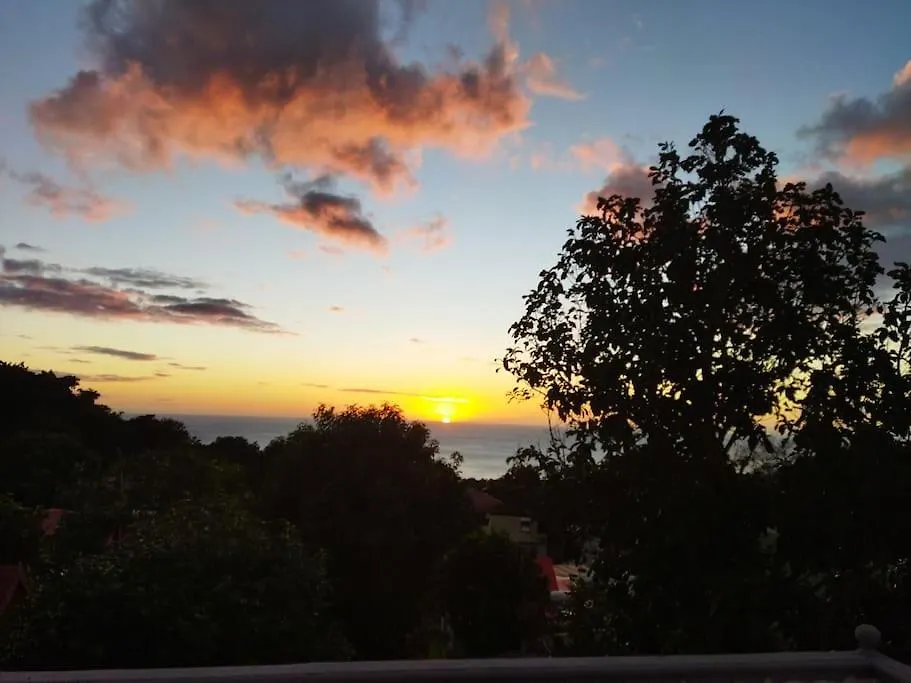 Terrasse Des Manguiers : Logement Independant Pointe-Noire 0*,